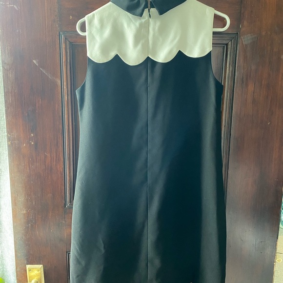 Scalloped Peter Pan Collar Dress - Picture 3 of 4